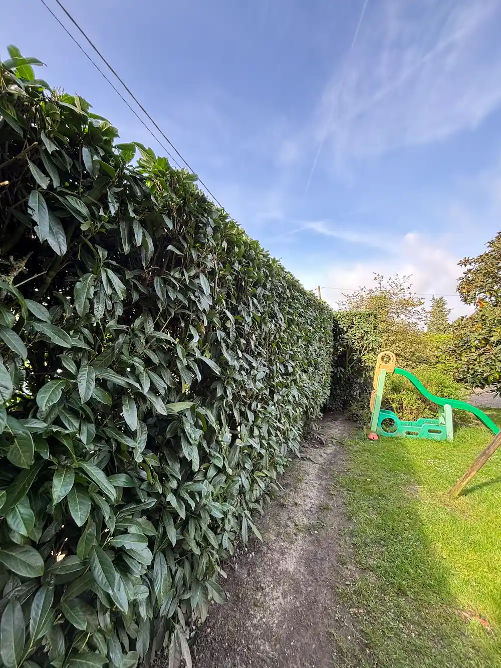 Taille d'une haie à l'intérieur d'un jardin